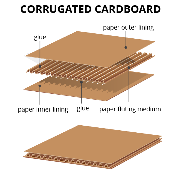 Corrugated cardboard diagram 