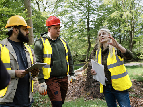 Three foresters talking