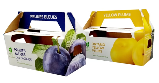 Paperboard fruit carries with colorful designs