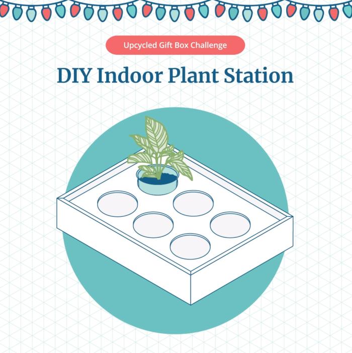 Indoor Plant Station