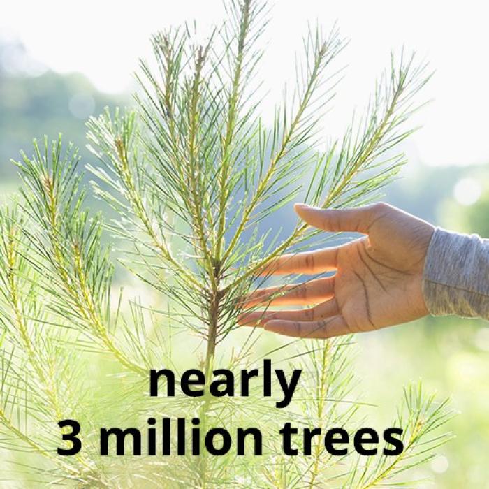 Hand touching branch with text "nearly 3 million trees"