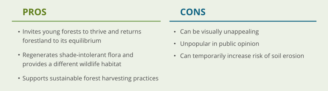 pros and cons of clearcutting