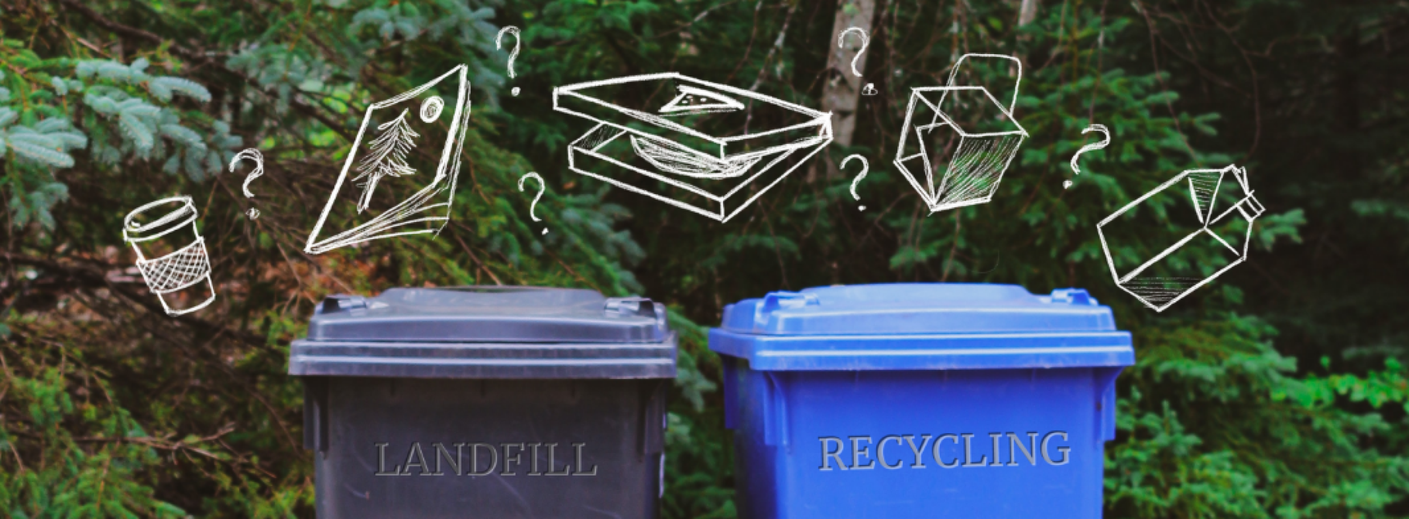 Curbside Recycling: What Can and Can't Be Recycled