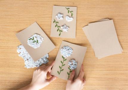 Homemade seed paper