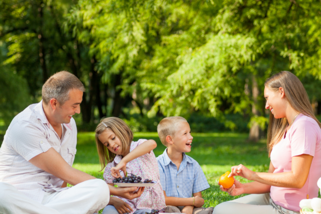 Family picnicing