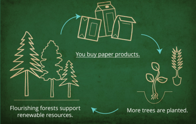 Cycle of sustainability