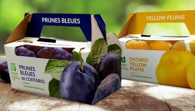 Niagara Fruit Paper-based Carriers